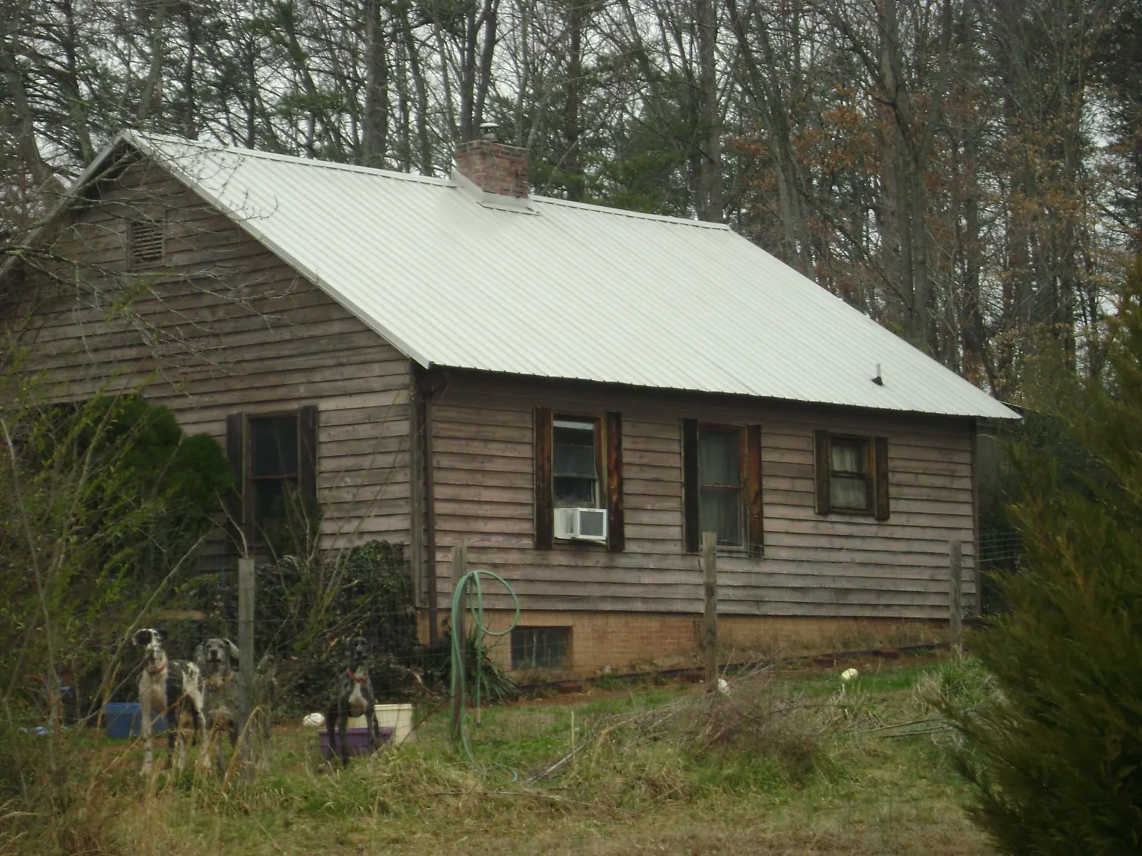 White metal roof on an old wood sided farmhouse, from a Asphalt Shingle Roof Repair job in Log Lane Village